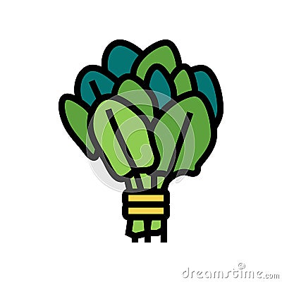 bunch spinach color icon vector illustration Cartoon Illustration