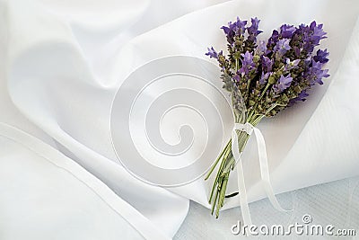 Bunch Sprig Bouquet Lavender Lavandula Augustifolia Stock Photo