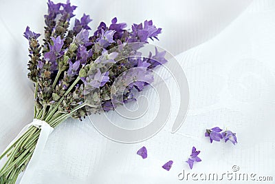 Bunch Sprig Bouquet Lavender Lavandula Augustifolia Stock Photo