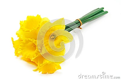 Bunch of spring daffodils Stock Photo