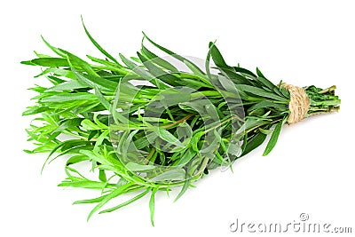 Bunch of tarragon leaves isolated on white background. Artemisia dracunculus Stock Photo