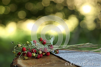 Bunch with tasty wild strawberries on wooden stump outdoors. Space for text Stock Photo