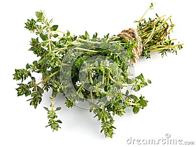 Bunch thyme with flowers. Fresh spicy herb. Stock Photo