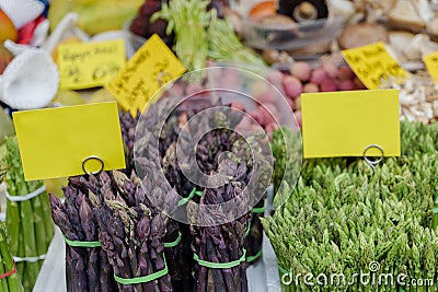 Bunch of various Asparagus sold in front of farmer market stall. Stock Photo