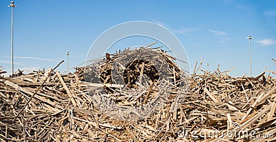 A bunch of waste from wood cutting boards. Stock Photo