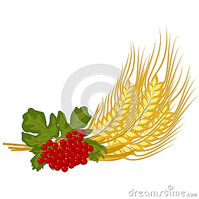 Bunch of wheat ears and viburnum twig - vector clipart. Red fruits of kalyna and ripe golden spikelets of wheat are floral symbols Vector Illustration