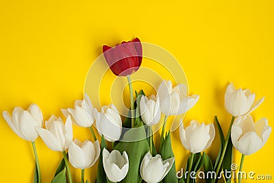 Bunch of white flowers with red one Stock Photo