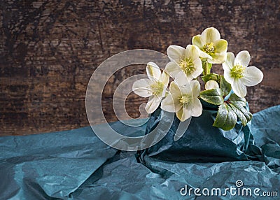 bunch of white hellebore Stock Photo