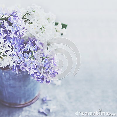 Bunch of white and purple lilac flowers in metal vintage bucket Stock Photo