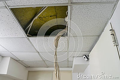 A bunch of white wires hang from the suspended ceiling. technological concept Stock Photo