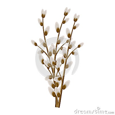 Bunch of Willow Twigs Isolated Illustration Vector Illustration