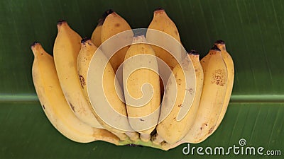 Bunch of yellow color bananas in plantain leaf Stock Photo