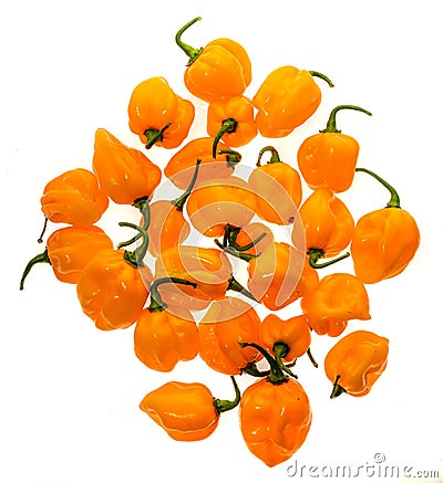 Bunch of Yellow orange ripe habanero hot chili peppers. Stock Photo