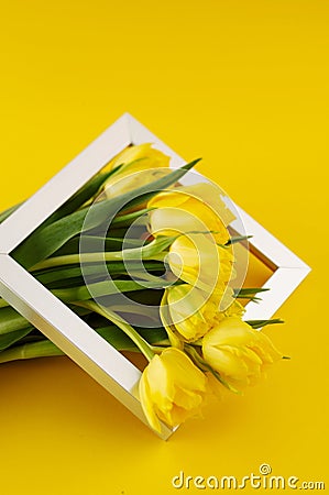 Bunch of yellow tulip flowers Stock Photo