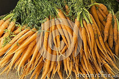 Bunches of baby carrots Stock Photo