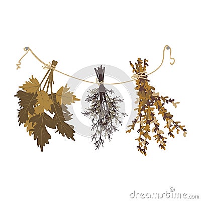 Bunches of dried grass hang from rope Vector Illustration