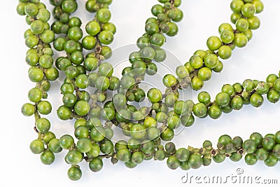 Bunches of fresh green piper nigrum on white background Stock Photo