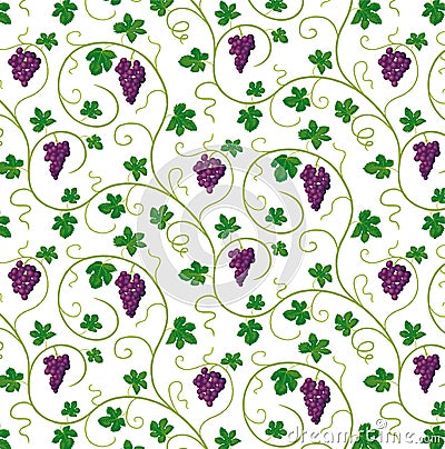 Bunches of grapes Vector Illustration