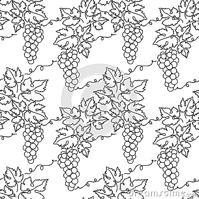 Bunches of grapes. Vine. Seamless pattern. Vector line drawing on white or transparent background. Grapevine. Floral background Vector Illustration