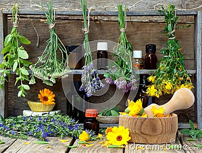 Bunches of healing herbs - mint, yarrow, lavender, clover, hyssop, milfoil, mortar with flowers of calendula and bottles, Stock Photo