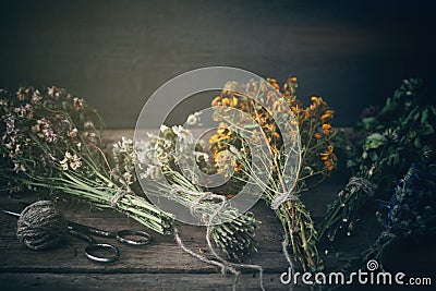 Bunches of healing herbs on wooden board. Herbal medicine. Stock Photo