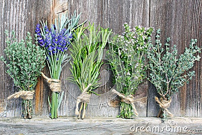Bunches of herbs Stock Photo