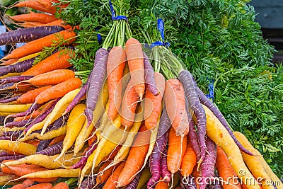 Bunches Organic Rainbow Carrots Stock Photo