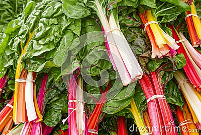 Bunches of rainbow chard at the farmers market Stock Photo