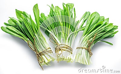 Bunches of young fresh wild garlic Stock Photo