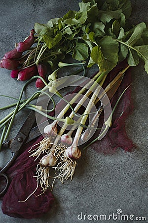 Bunches of young spring garlic and radish on green table Stock Photo