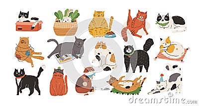 Bundle of adorable cats sleeping, stretching itself, playing with ball of yarn, hiding in box or basket. Set of purebred Vector Illustration