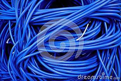 a bundle of blue ethernet cables connected to server Stock Photo