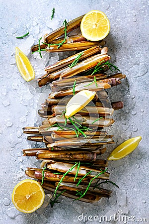 Bundle, bunch of fresh razor clams on ice, grey concrete background, lemon, herbs. Copy space, top view. Stock Photo