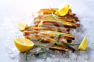 Bundle, bunch of fresh razor clams on ice, grey concrete background, lemon, herbs. Copy space, top view. Stock Photo