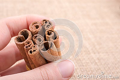 bundle of Cinnamon sticks on canvas Stock Photo
