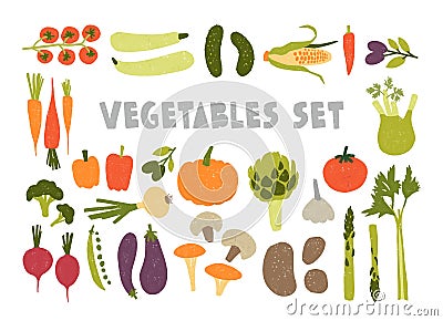 Bundle of colorful hand drawn ripe tasty vegetables isolated on white background. Set of healthy and delicious veggie Vector Illustration