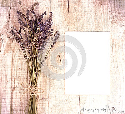 Bundle of dried lavender flowers and shit of paper with copy sp Stock Photo