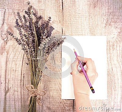 Bundle of dried lavender flowers and shit of paper with copy spa Stock Photo