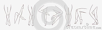 Bundle of female legs in different poses or postures hand drawn with contour lines. Collection of elegant drawings of Vector Illustration