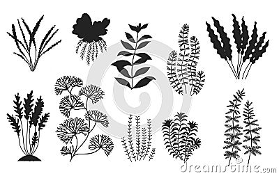 Bundle of Floral leaves and Flower isolated vector isolated Silhouettes Vector Illustration