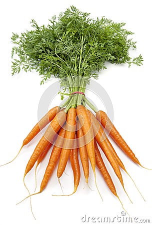 Bundle fresh carrots Stock Photo