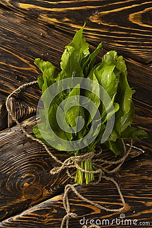 A bundle of fresh green sorrel tied with a string lies on the old wooden table of rough texture. Copy space Stock Photo