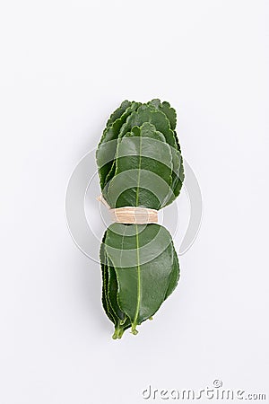 Bundle of fresh kaffir lime leaf isolated on white. Stock Photo