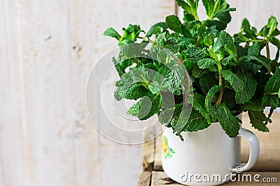 Bundle of fresh organic mint twigs in enamel mug on rustic wood box, spring or summer, natural light, outdoors Stock Photo