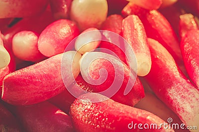 Bundle fresh red radish background radish Stock Photo