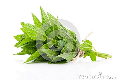 Bundle of fresh spearmint Stock Photo