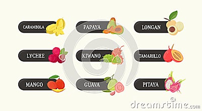 Bundle of labels with delicious sweet fresh juicy exotic tropical fruits and their names. Set of tags with tasty raw Vector Illustration