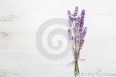 Bundle of lavender. Stock Photo