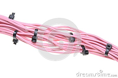 Bundle of pink cables with black cable ties Stock Photo
