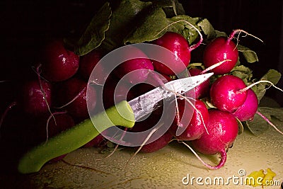 Bundle radishes Stock Photo